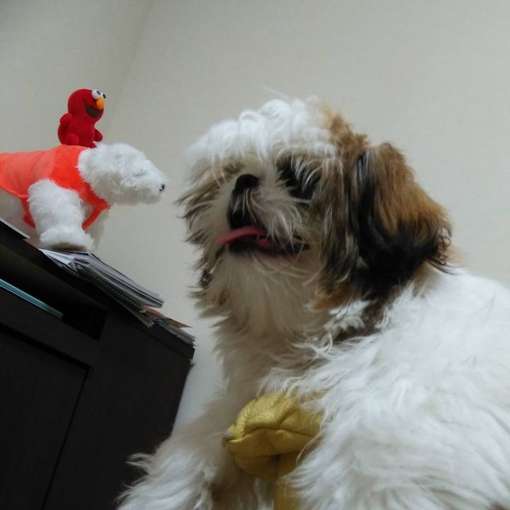 8db844f7 331a 45a5 b05d f5fb5bd092b4 1539402459844