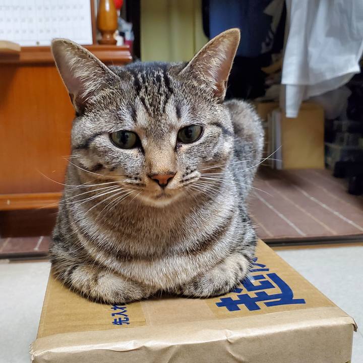 8db8b95d d96a 4e6d 9938 c56d0765d217 1697992176299