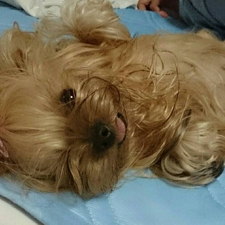 8db8d1f3 a3d0 4e96 809c f19a61ce7978 1529205812867