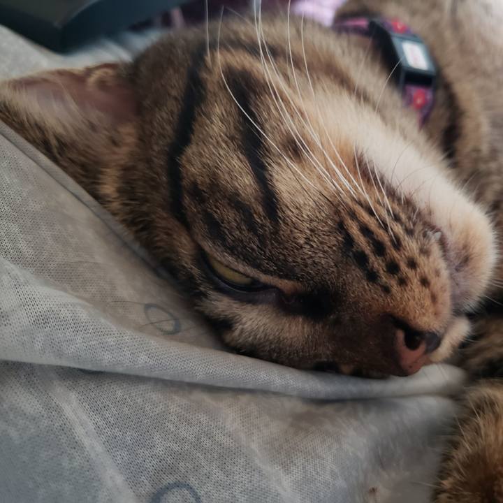 8db913b2 e8e9 4328 8ff6 fa0077024c00 1561946056085