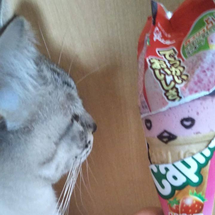 8db91d9f e338 4881 92f9 cc432b48aa81 1552203902406