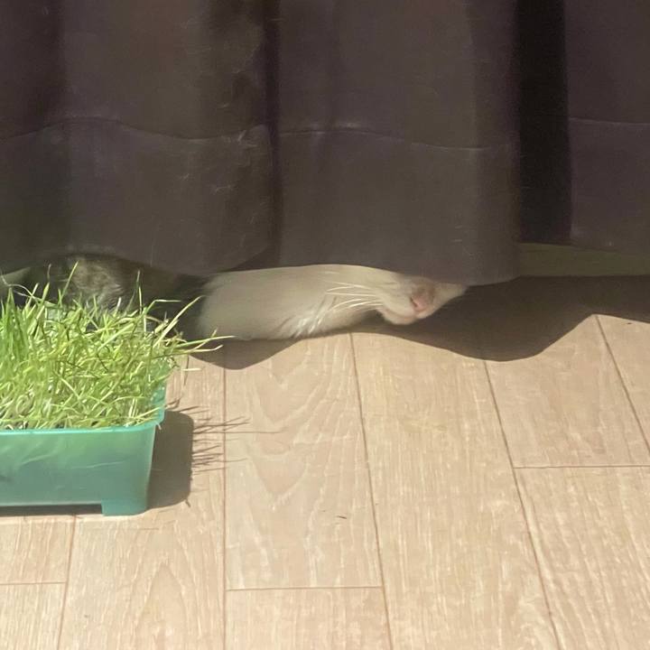 8db941f8 d795 4258 90f2 3be124579bcb 1629292033239