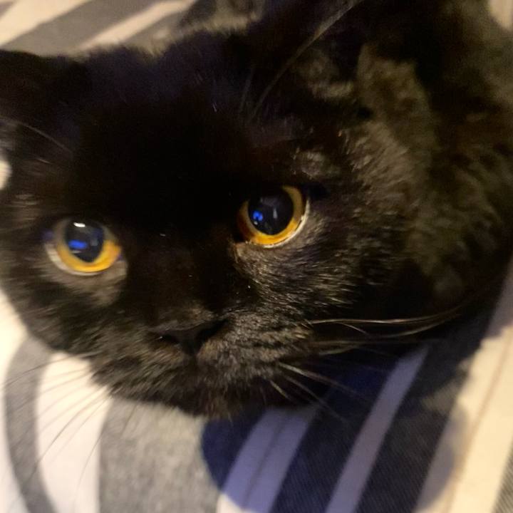 8db949b6 1d4f 470d 9a62 ec675b54ed55 1768734019904