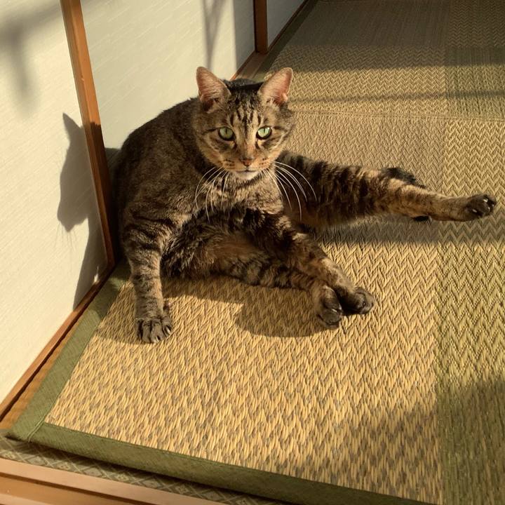 8db95040 beae 48c3 a0ba 707d3f8d32d0 1763163226565