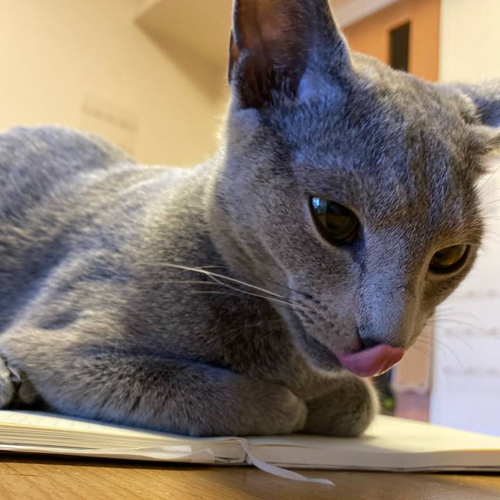 8db96542 07da 4cec 919e 990751f66fda 1623990191898