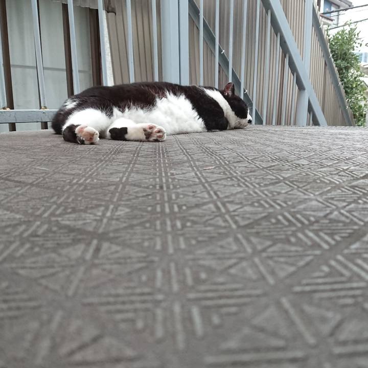 8db9679a 0763 49a1 87d5 99c7a71e446f 1600157298607