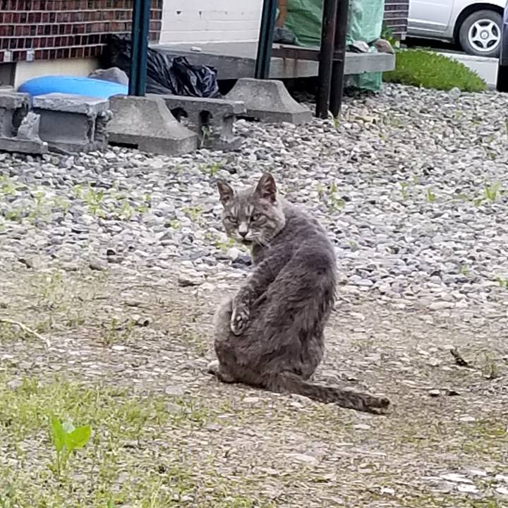 8db97490 2875 4e79 8eef 04b1535920b9 1529362977380