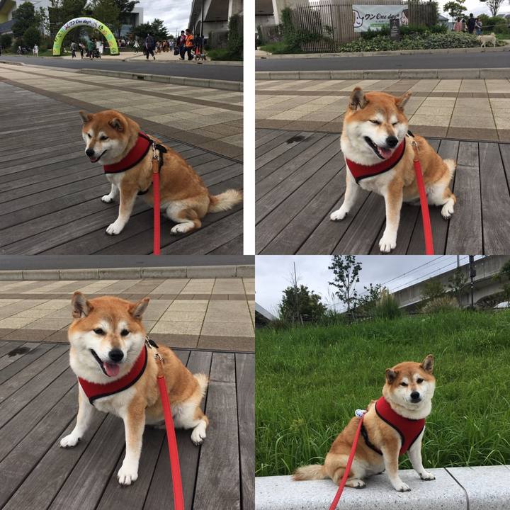 8db97541 f7db 4821 b30e 020d80b54e5d 1601204770781