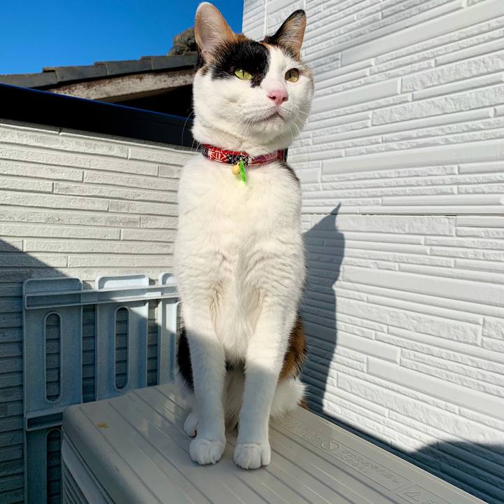 8dba013f 6a57 412c b5e7 49148194158f 1577840247038