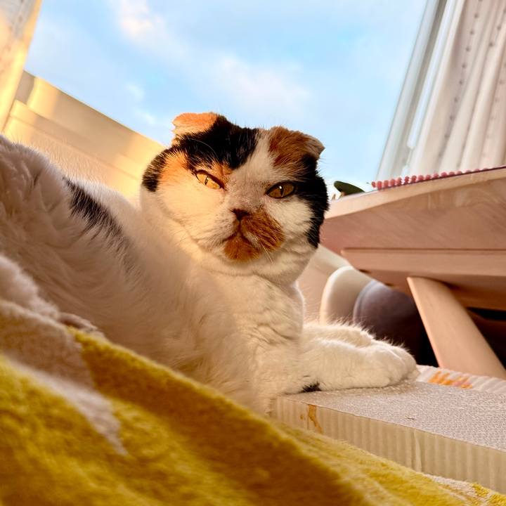 8dba05b5 b4b6 4213 9fc4 79c82cce0e0d 1761775797314