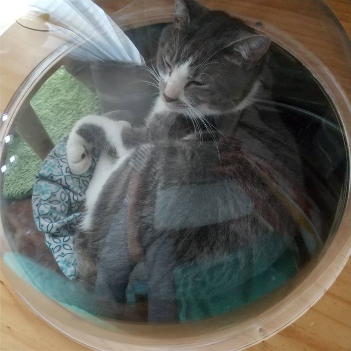 8dba1edd 60dd 462e ae5a fe638de29c20 1625899922124