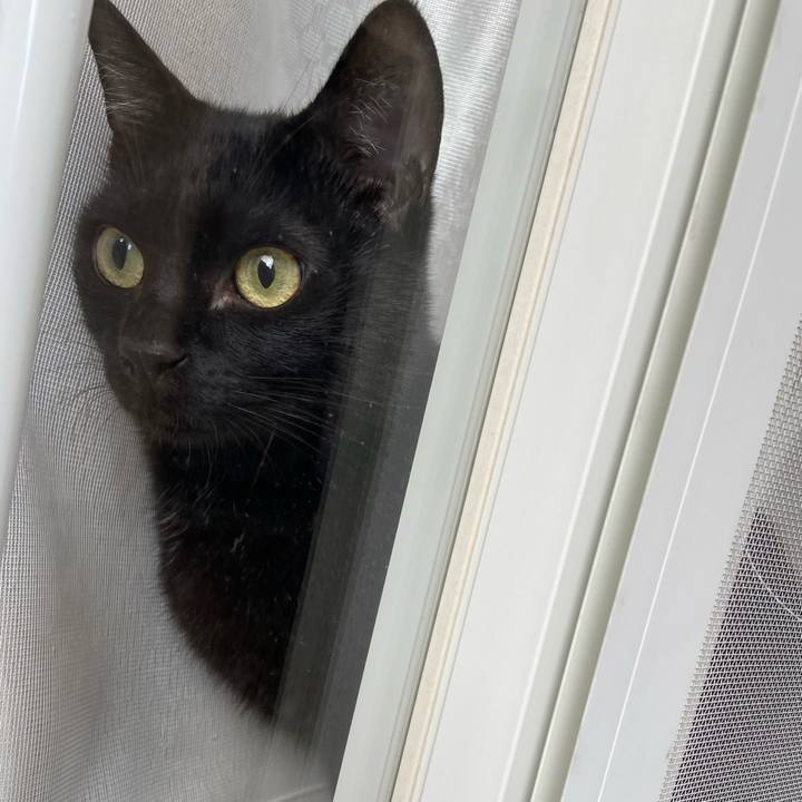 8dba2ff9 7acf 41a3 82d9 a229646319bd 1640430773149