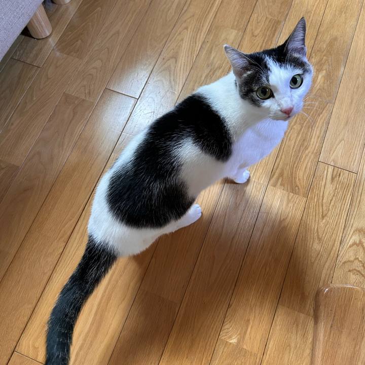 8dba3088 4162 4a9b 9b86 a36a56553ad9 1767595685492