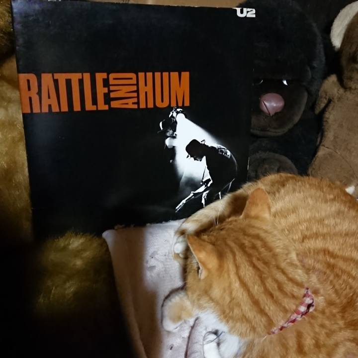 8dba5892 3fb9 4481 a668 b134e81165ba 1606303759088