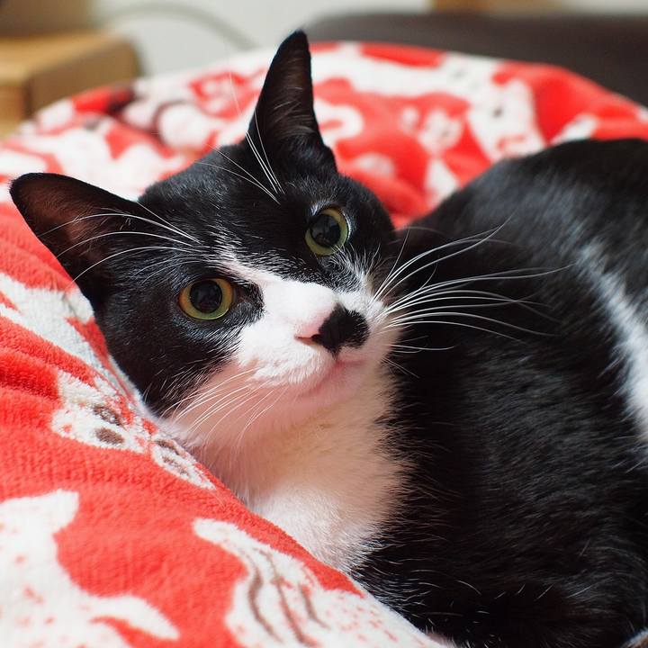 8dbad35f 1909 48f6 8f9f 7604c14db113 1514873093972