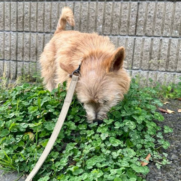 8dbb0d19 eb2e 4e63 817a 903f9bf12d35 1713241779168