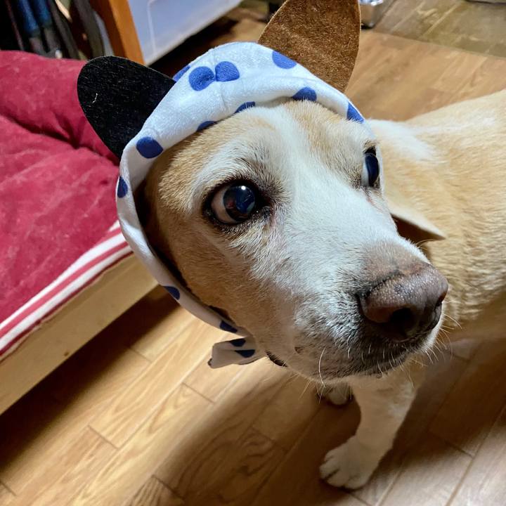 8dbb2fd2 d69e 4c2e 98ea cc403c897eeb 1591671208666