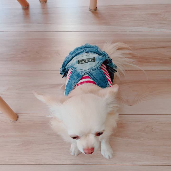 8dbb300e 24fc 4842 9217 f51442fe1823 1704534322199