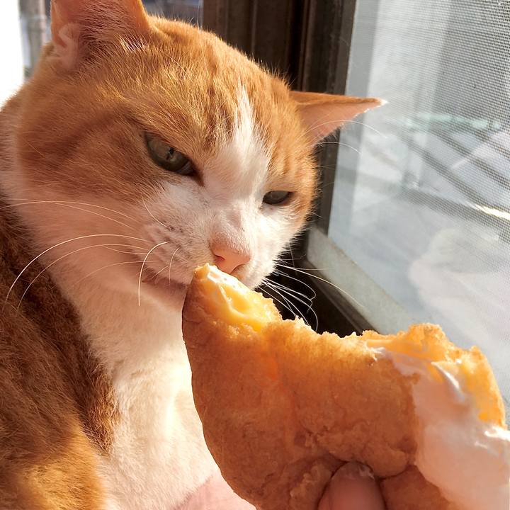 8dbb3526 1237 4a4b bcc1 c4bfacdb4ad2 1579231674029