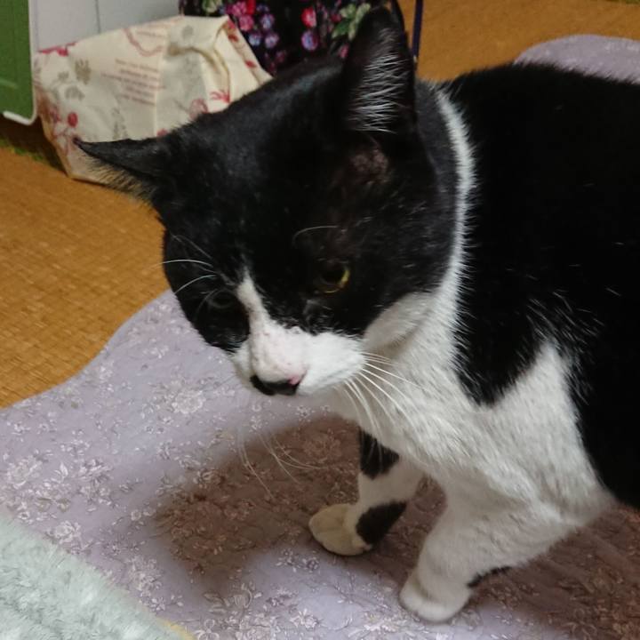 8dbb65d1 a03b 4cbb 9632 2bab9a76df52 1545644849975