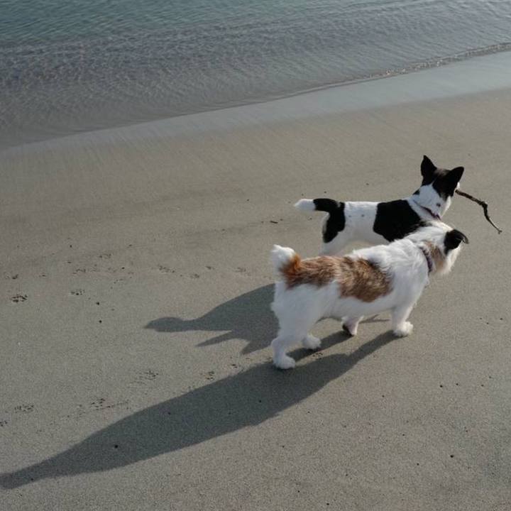 8dbb79e5 db17 4343 a05a 61aa25165240 1743127589404