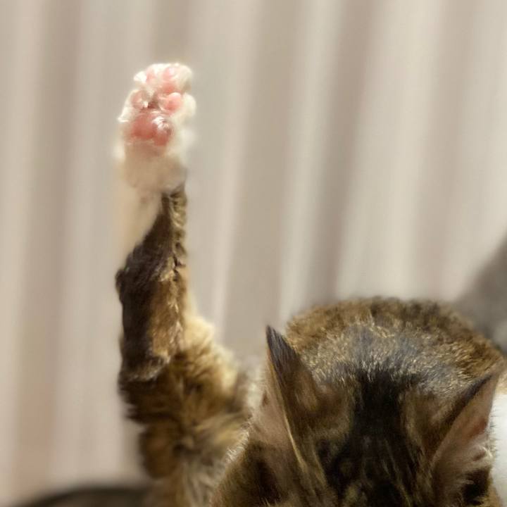 8dbb842d bfc2 43bd 9c6c e7c3c592df5c 1583022064899