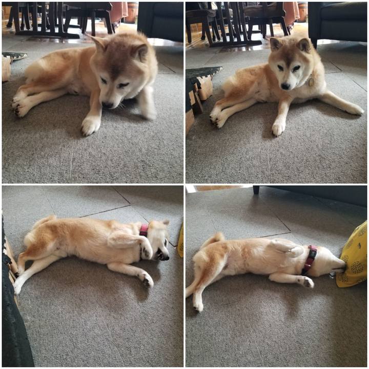 8dbb9d4f a638 416d 9882 f7edbcaae484 1752124663297