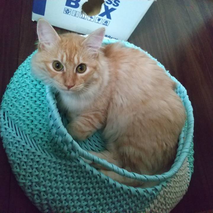 8dbbe50e 1dc1 497b 841d cbe1a9b034f5 1624350599788