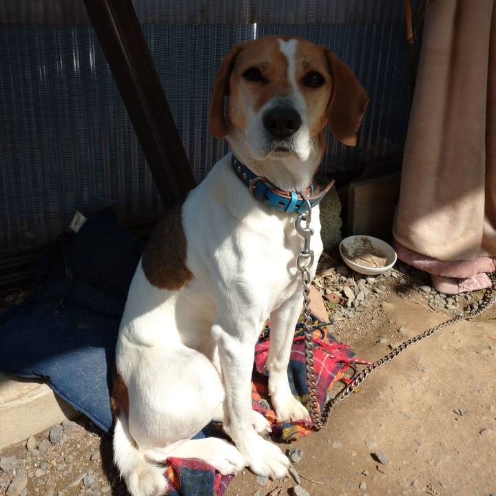 8dbc3c3d 3399 42d3 a523 a4b568410967 1615786059586