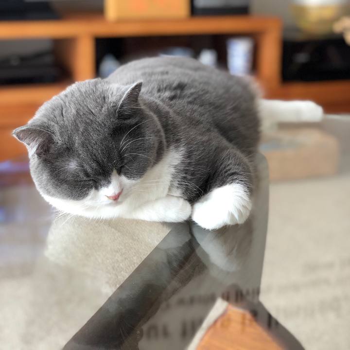 8dbc44e2 dd5b 4afc 87b9 1f7cf19bac26 1526717148174