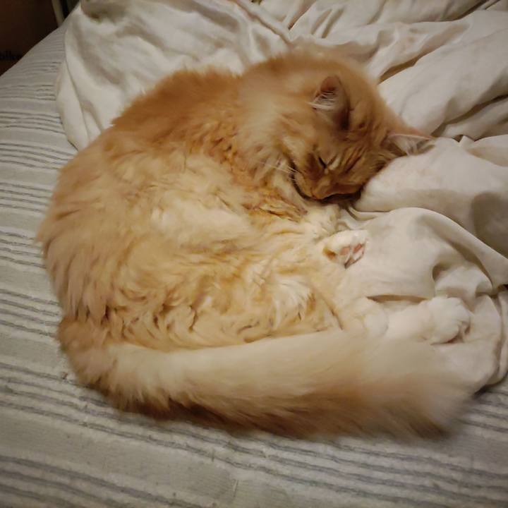 8dbc7a85 a540 4126 98f1 978151fe61e9 1721737572370