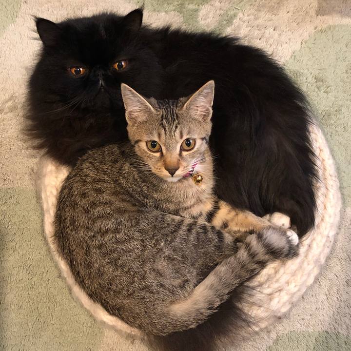 8dbc8454 66a5 40f2 91b8 6d38256aa007 1615013056837