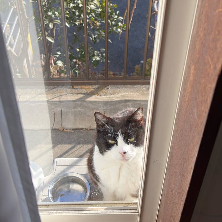 8dbca213 87aa 4dbb bd6e 459f9562a97d 1771484253460