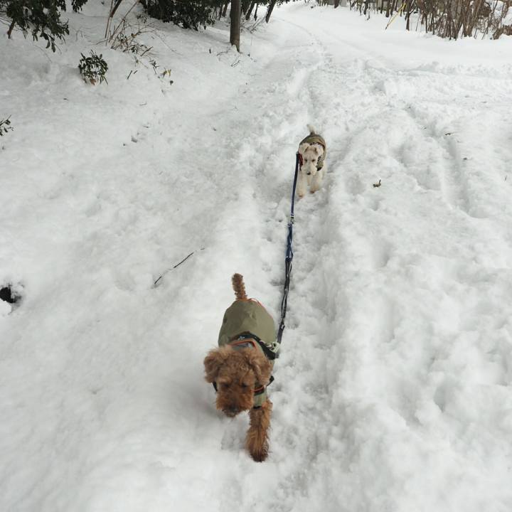 8dbcbb86 3a19 4ac0 a8bf 17a78300c538 1517216766812