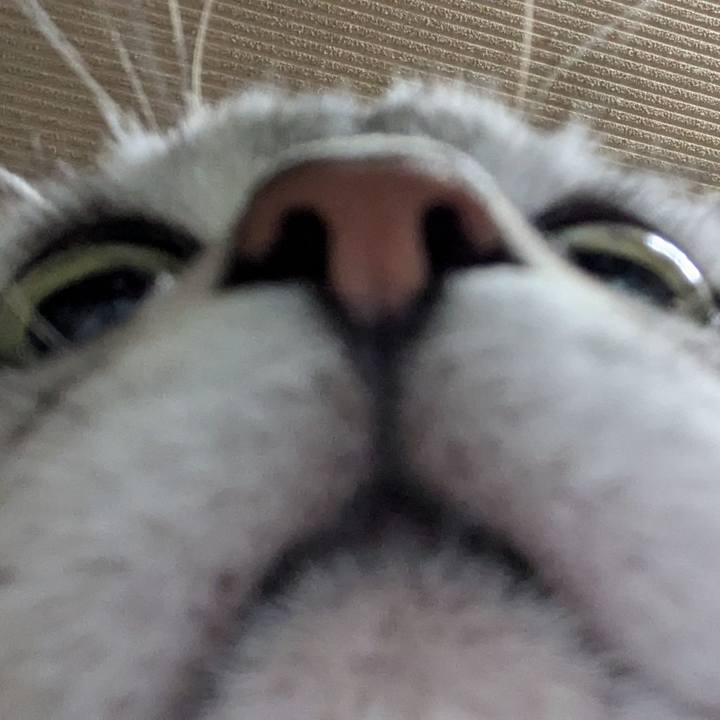 8dbd24be dfbe 429d 9dff 0a887dd76fb2 1735743709999