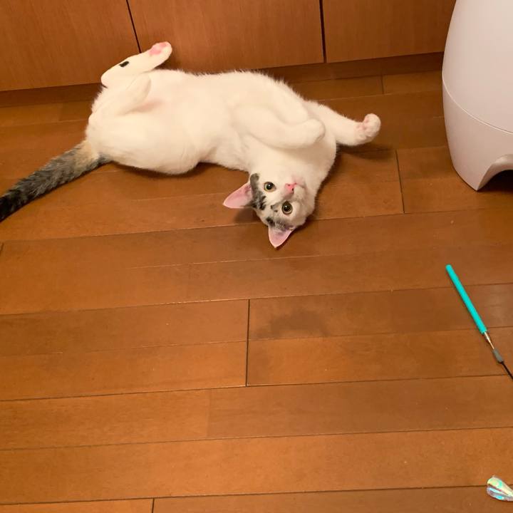 8dbd405f 1c2c 423e 9df4 410017288ff6 1615975333990