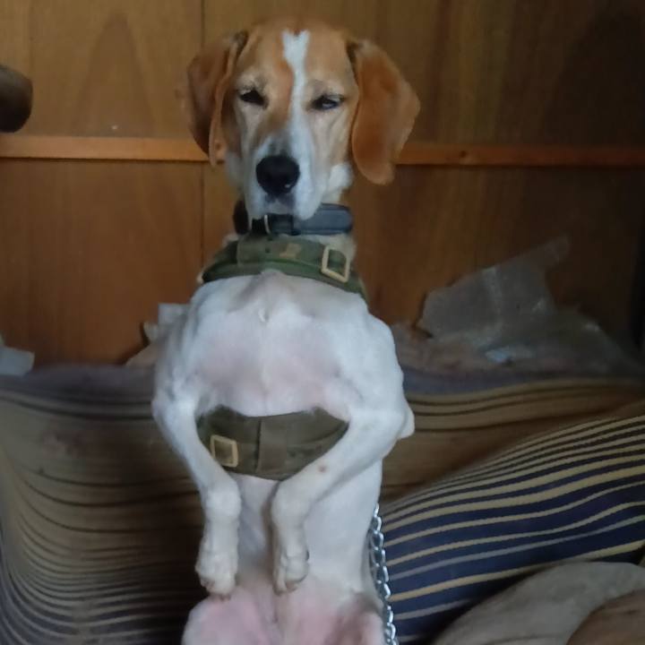 8dbd5c07 6f96 4034 bc4f 22cc09cad389 1717072321866