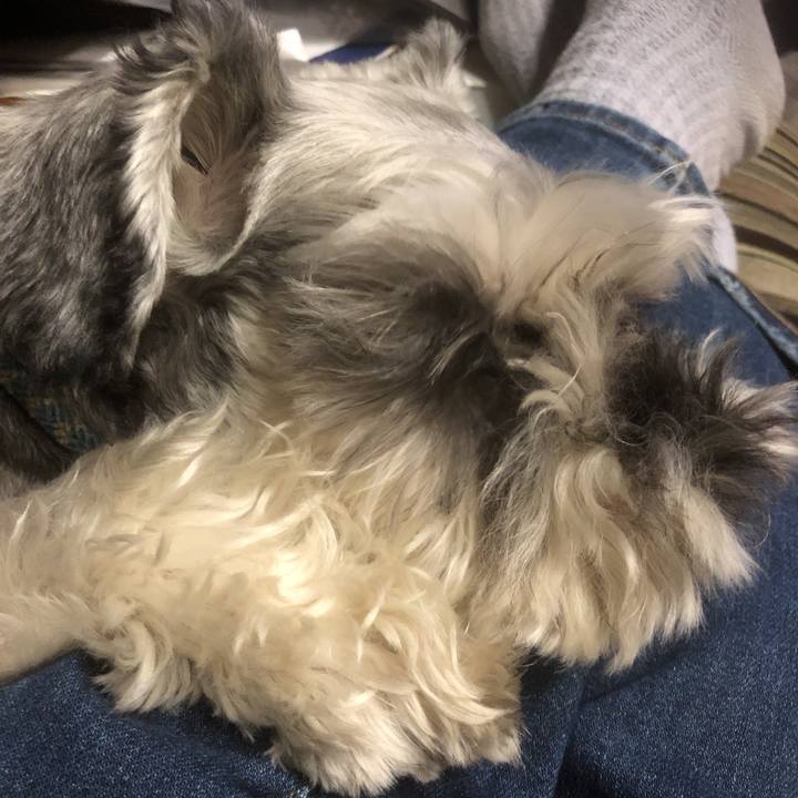 8dbda65c 6433 4dc4 96a1 6e95f7720b8b 1570702025673