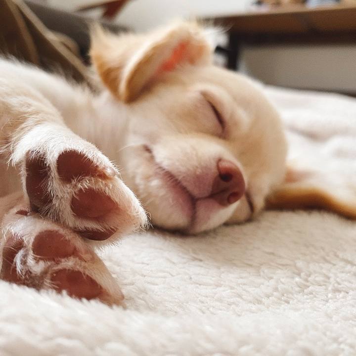 8dbdba26 fd8c 4b3e 9fae 39da97642edf 1591670999621