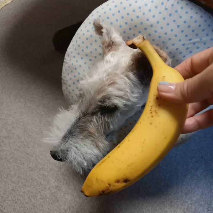 8dbdd50a 9398 4e8b 82c5 2a95d9501ee9 1636068526590