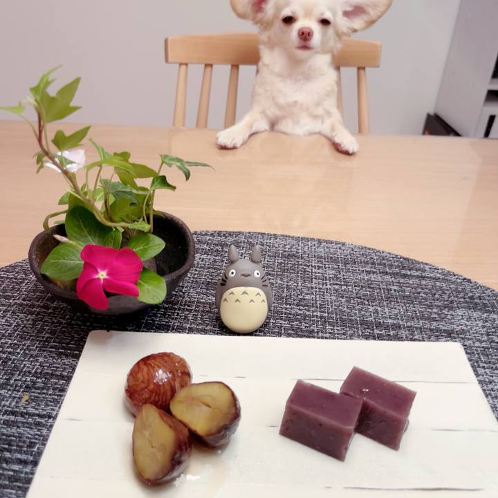 8dbdd8a2 3740 41e7 b2a0 ec1afce59c9f 1695282686214