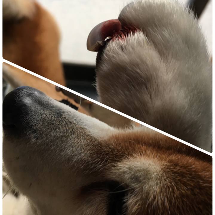 8dbdeb4a b76f 4b10 8535 7c33f2b0526f 1520678159190