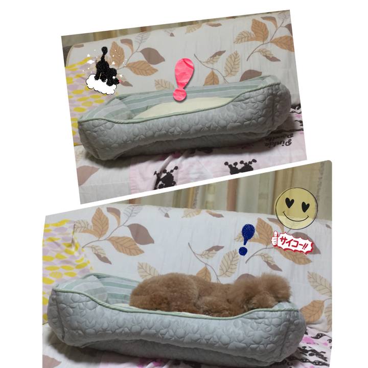 8dbdf36e 1407 432a 9dc2 98a59632db68 1527457934510