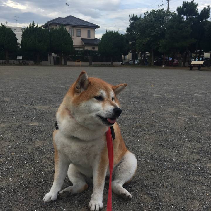 8dbdf6b1 19e1 47ac 8b5b 7c1e23845840 1600385820326