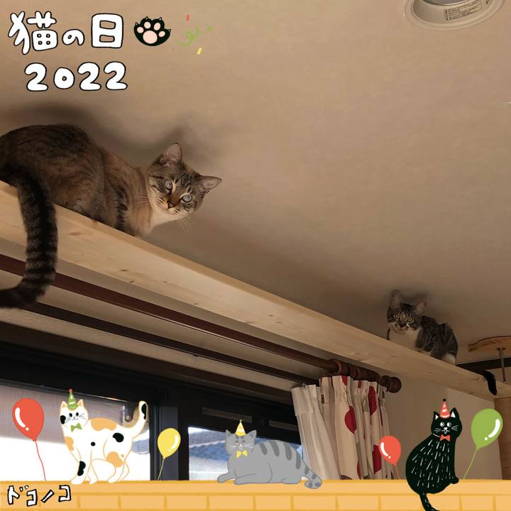 8dbe18ff 100c 482f 9660 e5de87adcb6d 1645510651414