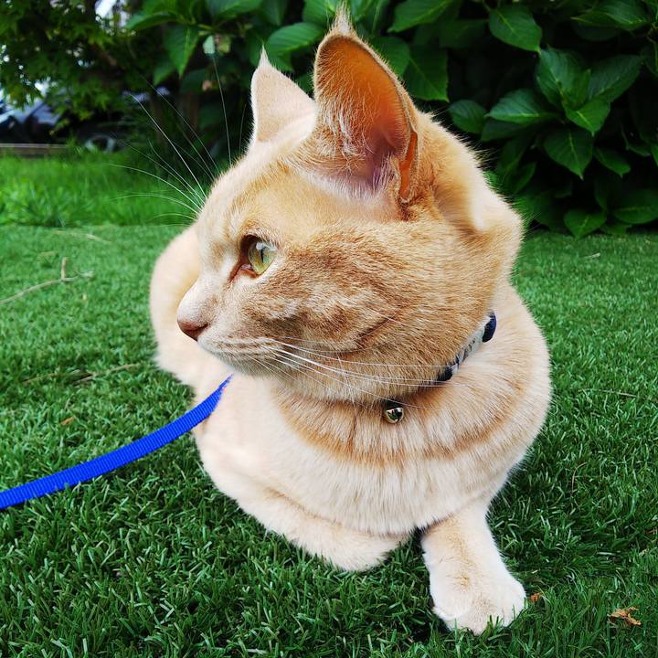 8dbe458c ce3a 4d60 9569 a5e98ee68e3c 1600819606974