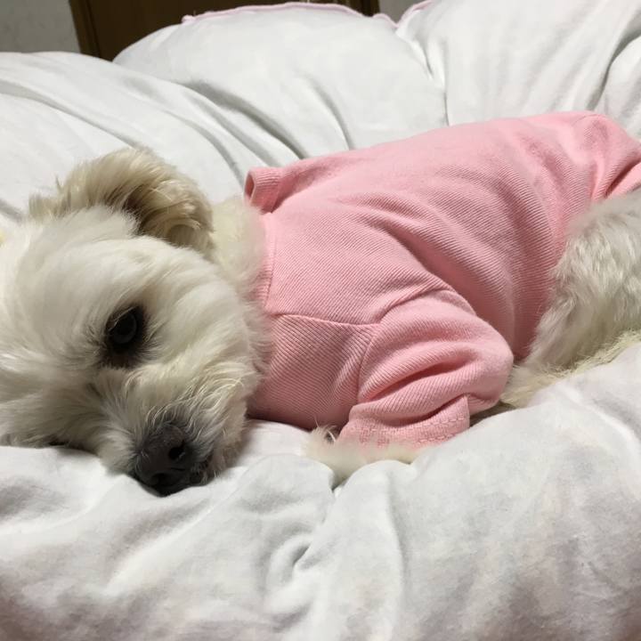 8dbe62b1 1922 46e0 85b5 312554407dba 1510235951961