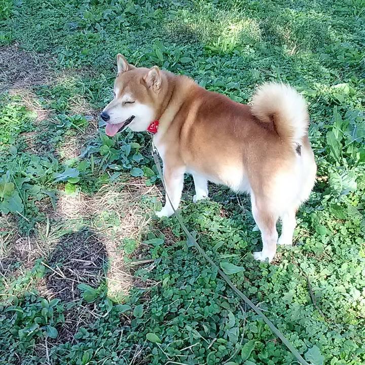 8dbe86e3 f569 4fbb bc30 3583bc6ad315 1697498732415