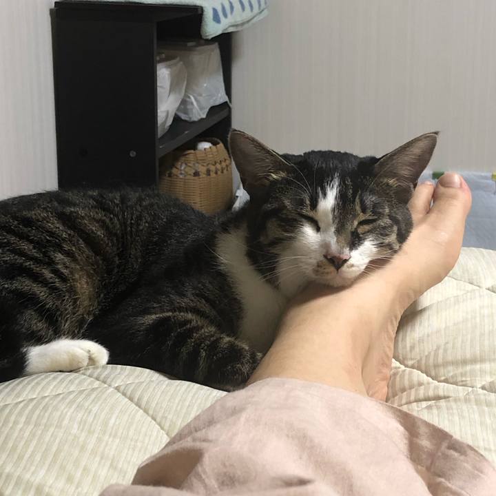 8dbeba9e 4c7d 4da2 af9f ad470da7f012 1564790766716