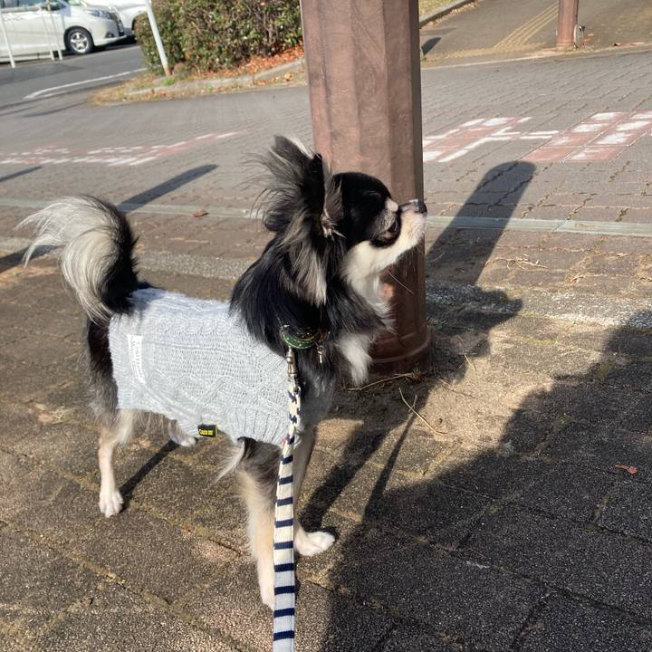 8dbf0d02 e93c 4795 8788 0a3dca2aa5d5 1607840030973